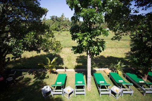 a group of green lounge chairs under a tree at Barefoot Bungalow Hikka in Hikkaduwa