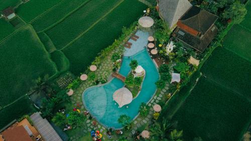 ウブドにあるCandy Villa by GenuineHostの公園内のスイミングプールの上面の景色