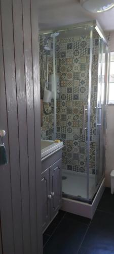 ein Bad mit einer Dusche und einem Waschbecken in der Unterkunft An Crann Glas in Galway