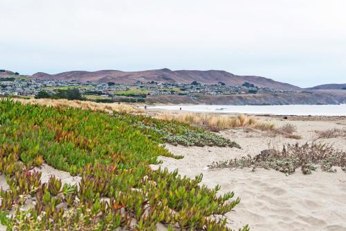 Heron Haven – Fotos 3