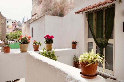 a balcony with potted plants on a building at Il Riccio Apartment 28 in Procida