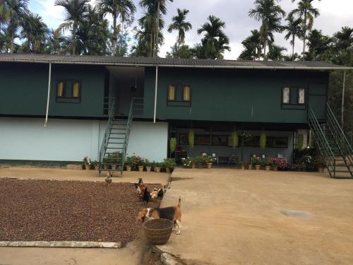 a green building with two dogs standing in front of it at Whispering Willows in Gūdalūr
