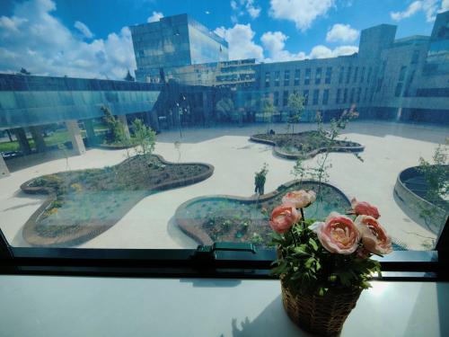 A Window to Porto – Premium Apartment Porto Downtown