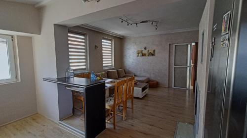 帕莫瑞的住宿－Nikolovi Home Apartments，厨房以及带桌椅的起居室。