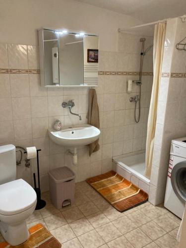a bathroom with a sink and a toilet and a shower at Chalupa u Potoka Vikantice in Vikantice