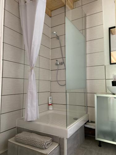 een badkamer met een douche en een bad met een douchegordijn bij Le Chêne: Petit Chalet cosy proche de Mulhouse in Riedisheim