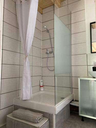 a bathroom with a shower and a tub with a shower curtain at Le Chêne: Petit Chalet cosy proche de Mulhouse in Riedisheim