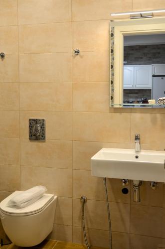 a bathroom with a toilet and a sink and a mirror at Aparthotel Ano in Acharavi