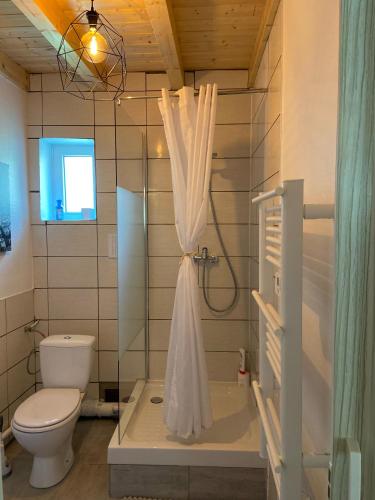 La salle de bains est pourvue de toilettes et d'une douche avec rideau de douche. dans l'établissement Le Noyer: Petit chalet cosy proche de Mulhouse, à Riedisheim
