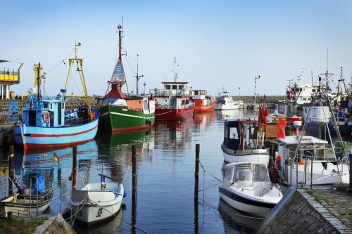 a group of boats are docked in a harbor at Precise Resort Rügen Apartments & SPLASH Erlebniswelt in Sagard