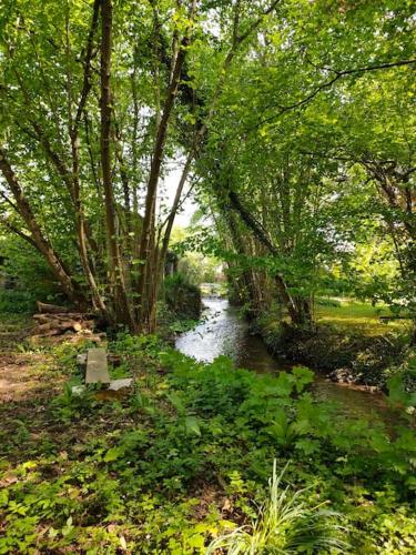 een rivier met een bank in het midden van een bos bij Le Calme à la source in Bréchamps