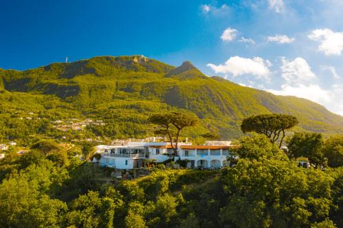 a house on a hill in front of a mountain at Paradise Relais Villa Janto' in Ischia