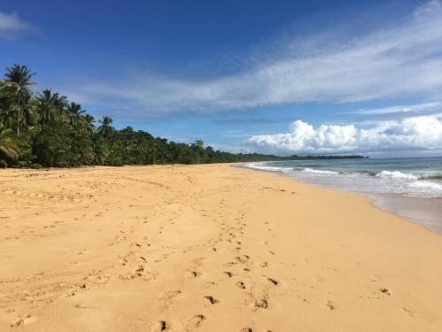 a beach with footprints in the sand and the ocean at Jungle Bluff Beach Paradise - Jungle House in Bocas del Toro