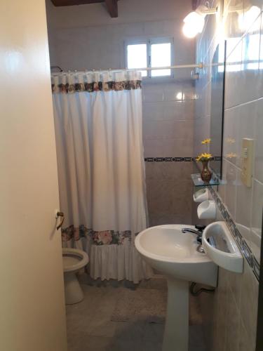 a bathroom with a sink and a toilet and a shower at San Cayetano Departamento por dia con cochera gratis in Bahía Blanca