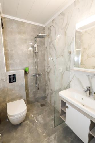 a bathroom with a shower and a toilet and a sink at Glavatarski Han in Glavatartsi