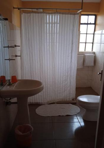 a bathroom with a sink and a toilet and a shower at dreamplace Gigiri in Nairobi