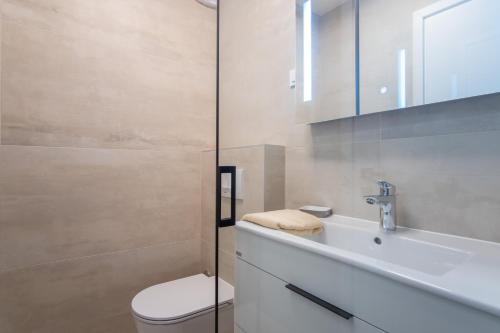 a bathroom with a toilet and a sink and a shower at Apartments Mandre I in Mandre