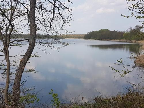 vista su una cassa d'acqua con alberi di Domek letniskowy na Mazurach a Miłomłyn