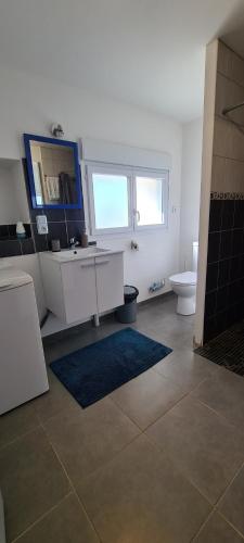 uma casa de banho com um lavatório, um WC e um espelho. em Gîte La Gloriette 4 à 6 personnes proche Futuroscope em Neuville-du-Poitou