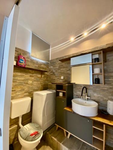 a bathroom with a sink and a toilet at Apartman Verona Buzet in Buzet