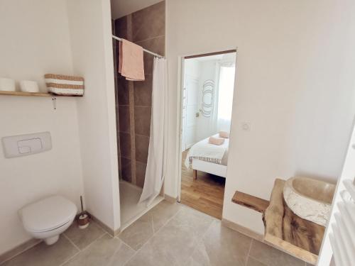 a bathroom with a toilet and a shower in a room at Les Rauches - Quai Loire - Suite 2 Chambres in Châteauneuf-sur-Loire