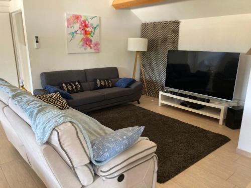 Televisyen dan/atau pusat hiburan di Très belle villa avec piscine chauffée CASALEONI