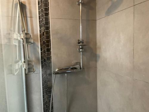a shower with a shower head in a bathroom at VILLA OCEANE in San-Nicolao