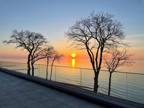 three trees in front of the water at sunset at Relax Planet in Rewal