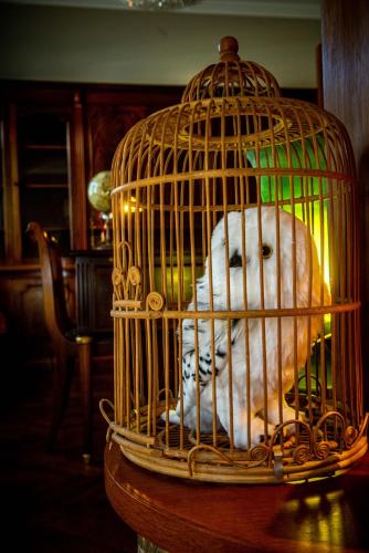 a white cat in a bird cage at Potter's Place by Ardenne Places in Theux
