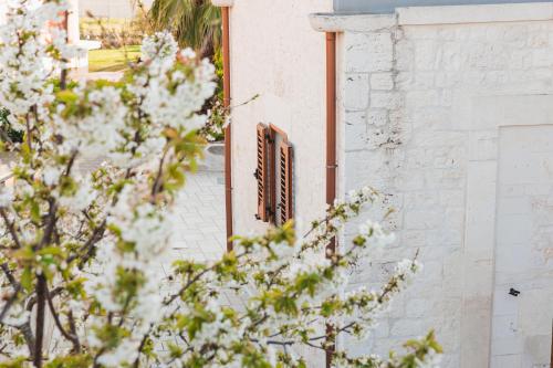 a window of a building with white flowers at La Casetta Antica in Noci