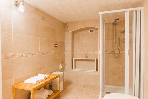 a bathroom with a shower and a toilet and a sink at La Casetta Antica in Noci