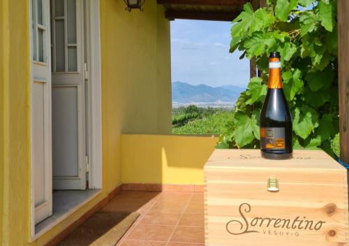a bottle of wine sitting on top of a wooden box at Vesuvio Inn Guest House e Wine Experience in Boscotrecase