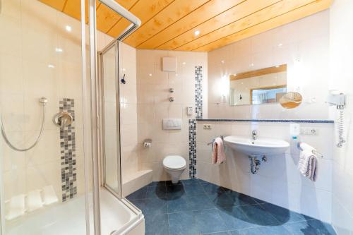 a bathroom with a shower and a sink and a toilet at Hotel Alpenhof in Bad Wörishofen