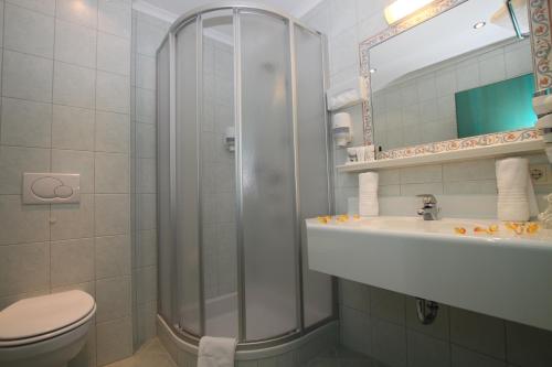 a bathroom with a shower and a toilet and a sink at Gast- und Ferienhof Christler in Tux