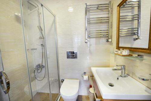 a bathroom with a shower and a sink and a toilet at Uğurlu Konakları in Kastamonu
