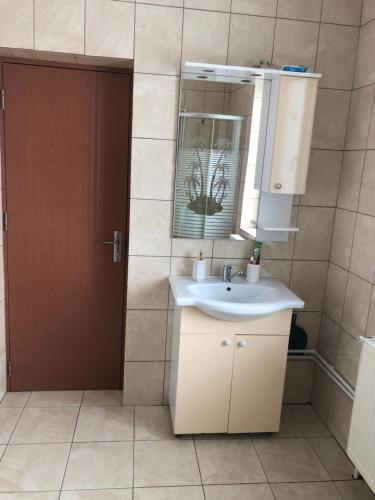 a bathroom with a sink and a mirror and a door at Casa Bogdan in Vartop