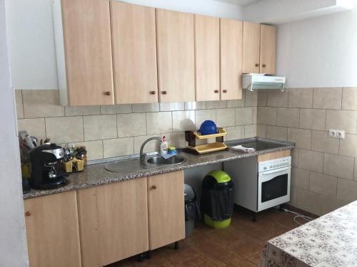 a kitchen with wooden cabinets and a sink at Casa Bogdan in Vartop