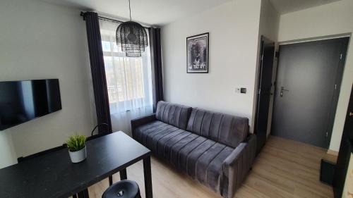 Ferrata Apartamenty Zakopaneにあるテレビまたはエンターテインメントセンター