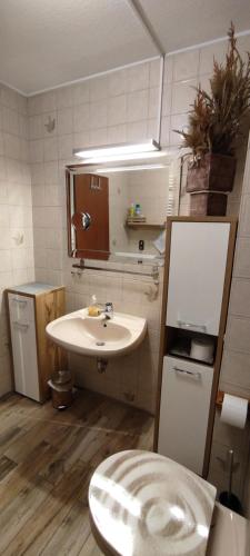 a bathroom with a sink and a toilet in it at Grüne Düne Meerblick in Friedrichskoog-Spitz