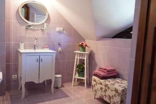 W łazience znajduje się umywalka i lustro. w obiekcie Królowa Luiza i Wiking w Starych Jabłonkach
