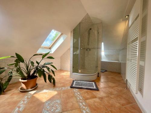 uma casa de banho com um chuveiro e um vaso de plantas em Biesdorf-verkehrsgünstig und ruhig em Berlim