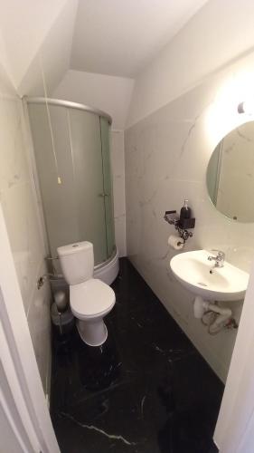 a bathroom with a white toilet and a sink at Viesu nams Bušelis in Turaida