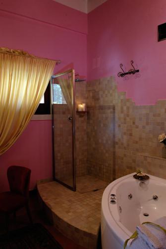 a bathroom with a shower and a bath tub at Agrisalotto in Cortona