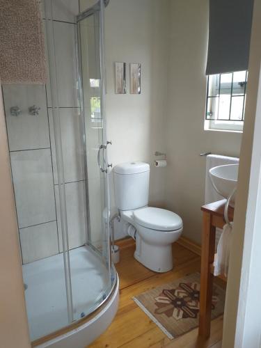 a bathroom with a shower and a toilet and a sink at Karoo Magic in Calitzdorp