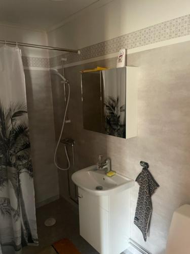 W łazience znajduje się biała umywalka i prysznic. w obiekcie Stavred-gården w mieście Bjärtrå