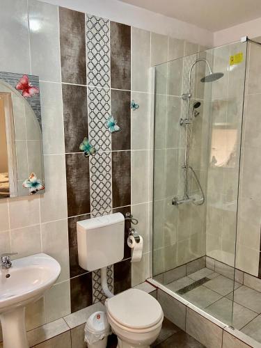a bathroom with a shower and a toilet and a sink at Unser Haus in Sibiu