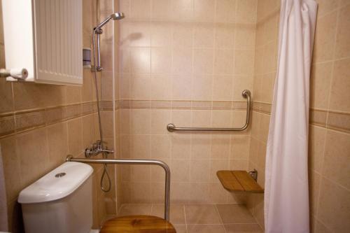 a small bathroom with a toilet and a shower at Uğurlu Konakları in Kastamonu