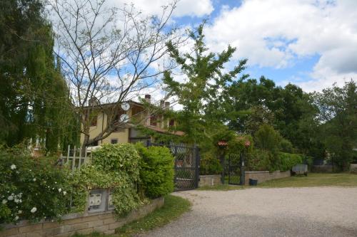 Gli Eucalipti_La genziana e il sambuco