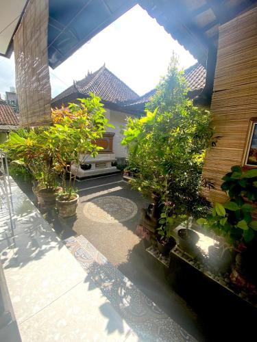 a patio with a bunch of plants and a building at Ayu Homestay in Ubud