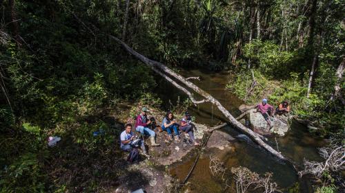a group of people sitting on a fallen tree in a creek at Eulophiella in Andasibe